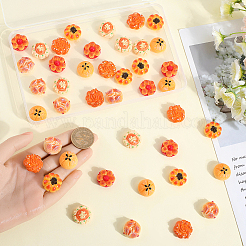 48Pcs 6 Styles Opaque Resin Imitation Food Decoden Cabochons&nbsp;CRES-SC0002-84