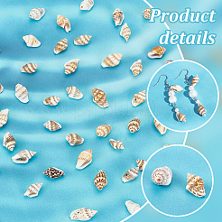 330Pcs 2 Styles Natural Shell Beads&nbsp;BSHE-PH0001-39