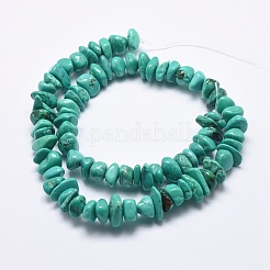 Natural Magnesite Beads Strands&nbsp;TURQ-F008-01