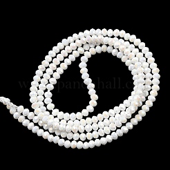 Electroplate Opaque Glass Beads Strands&nbsp;EGLA-F149-AB-02