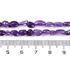 Natural Amethyst Beads Strands&nbsp;G-P497-01B-19