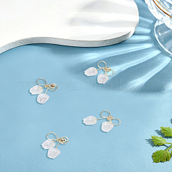2 Pairs Alloy Stud Earrings&nbsp;EJEW-LP0007-088