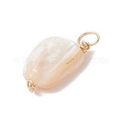 Natural Seashell Nuggets Charms&nbsp;PALLOY-JF02842