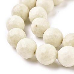 Natural Fossil Round Bead Strands&nbsp;G-O151-02-12mm