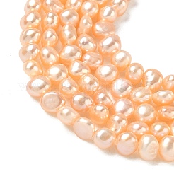 Natural Cultured Freshwater Pearl Beads Strands&nbsp;PEAR-C004-19B-03