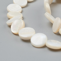 Natural Freshwater Shell Beads&nbsp;BSHE-I011-01D-02