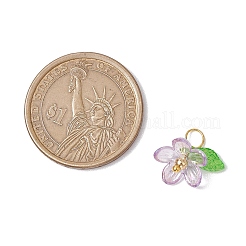 Plastic & Acrylic Pendants&nbsp;PALLOY-JF03053-01