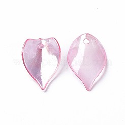 Transparent Acrylic Beads&nbsp;MACR-S373-103-C05
