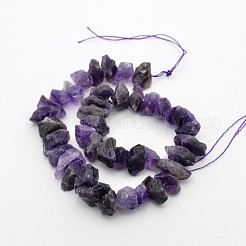 Natural Amethyst Nuggets Bead Strands&nbsp;G-A139-B04