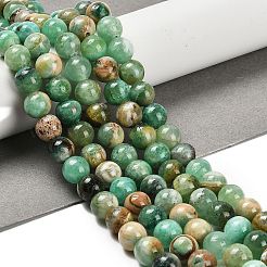 Natural Green Line Jasper  Beads Strands&nbsp;G-B128-A03-03