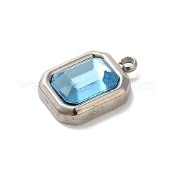 304 Stainless Steel Glass Pendants&nbsp;STAS-L022-062P-08