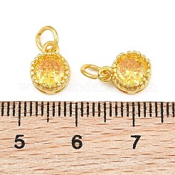 Brass Pave Cubic Zirconia Charms&nbsp;CU-CBA3D67-02G-07