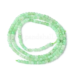 Natural Chrysoprase Beads Strands&nbsp;G-F748-X03