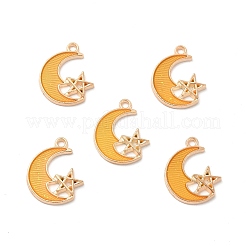 Alloy Enamel Pendants&nbsp;ENAM-S121-061-G