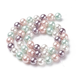 Shell Pearl Bead Strands&nbsp;BSHE-L017-10