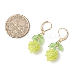 Acrylic Glass Leverback Earrings&nbsp;EJEW-MZ00443