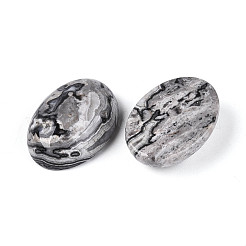 Natural Map Stone Cabochons&nbsp;G-T144-76B