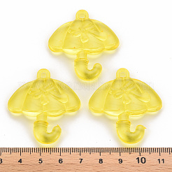 Transparent Acrylic Pendants&nbsp;TACR-T024-01B-916
