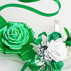 Polyester Ribbons&nbsp;OCOR-WH20018-31A