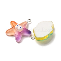 Ocean Theme Transparent Resin Pendants&nbsp;RESI-A046-04