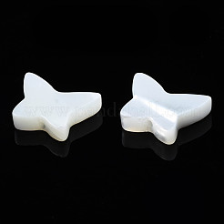 Natural Trochid Shell/Trochus Shell Beads&nbsp;SSHEL-N034-115