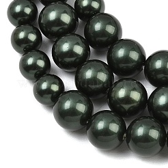 Electroplated Shell Pearl Graduated Beads Strands&nbsp;BSHE-C011-04-02