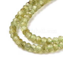 Natural Peridot Beads Strands&nbsp;G-E591-05