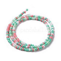 Glass Seed Bead Strands&nbsp;LAMP-B021-04F