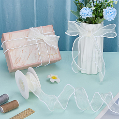 Polyester & Plastic Ribbon&nbsp;OCOR-WH0105-140C