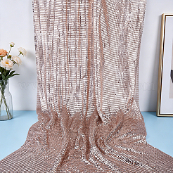 Aluminum Beaded Trim Mesh Ribbon Roll&nbsp;DIY-WH0750-413D