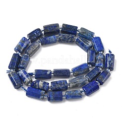 Natural Lapis Lazuli Beads Strands&nbsp;G-C270-K10