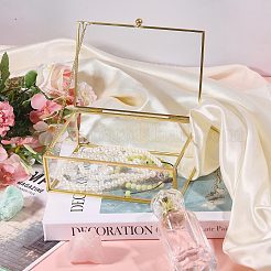 Transparent Glass Jewelry Organizer Display Cases with Metal Frame&nbsp;AJEW-WH0410-465B