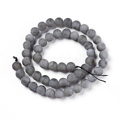 Natural Labradorite Beads Strands&nbsp;G-I218-02