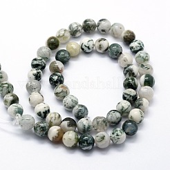 Natural Tree Agate Beads Strands&nbsp;G-I199-03-10mm