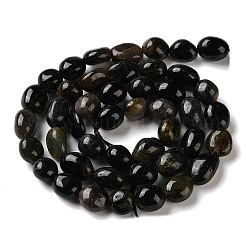 Natural Tourmaline Beads Strands&nbsp;G-C268-A02-8x10mm