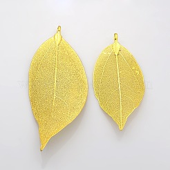 Natural Leaf Plating Brass Large Pendants&nbsp;IFIN-N3253-22G
