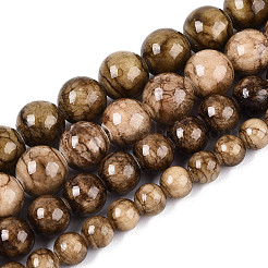 Natural Persian Jade Beads Strands&nbsp;G-A255-A02-01E