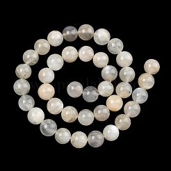 Natural White Moonstone Beads Strands&nbsp;G-C277-A01-10mm