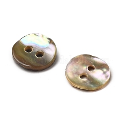 Abalone Shell/Paua Shell&nbsp;BSHE-I011-04D
