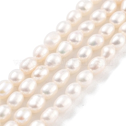 Natural Cultured Freshwater Pearl Beads Strands&nbsp;PEAR-P062-03B