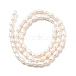 Natural Cultured Freshwater Pearl Beads Strands&nbsp;PEAR-I007-01N-02A