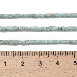 Dyed Synthetic Turquoise Beads Strands&nbsp;G-P594-01B-05