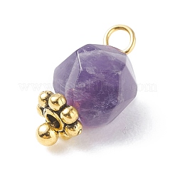 Chakra Theme Natural Tiger Eye & Rose Quartz & Amethyst & Topaz Jade & Red Agate & Amazonite & Sodalite Charms&nbsp;PALLOY-JF01187
