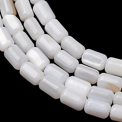 Natural Freshwater Shell Beads Strands&nbsp;SH-CBA2978-21A