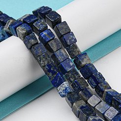 Natural Lapis Lazuli Beads Strands&nbsp;G-Q1008-B07