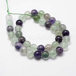 Natural Fluorite Bead Strands&nbsp;X-G-D840-56-6mm-AB
