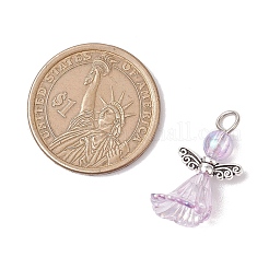 6Pcs Transparent Acrylic Pendants&nbsp;PALLOY-JF03287