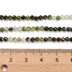 Natural Greeb Tourmaline Beads Strands&nbsp;G-G302-A01-3mm