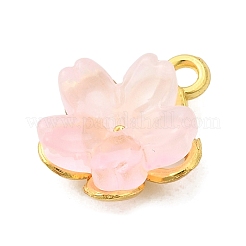 Alloy Glass Charms&nbsp;FIND-C079-05G
