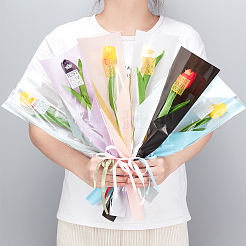 120Pcs 6 Colors OPP Gift Bags&nbsp;ABAG-NB0001-34